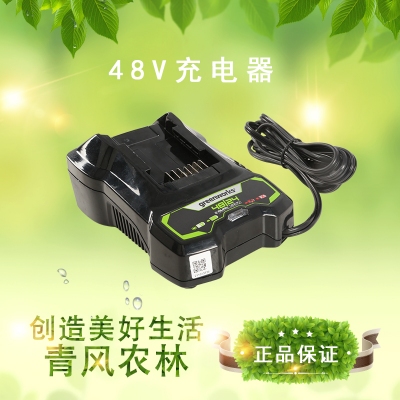 QFNL 格力博 24V48V 4A 双压充电器